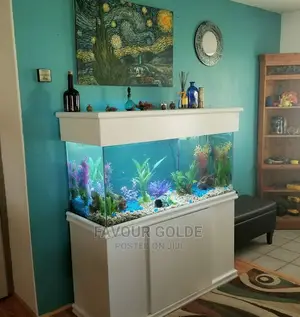 Interior Aquarium