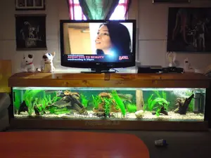 Tv Stand Aquarium