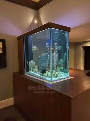 Aquarium Interior Design