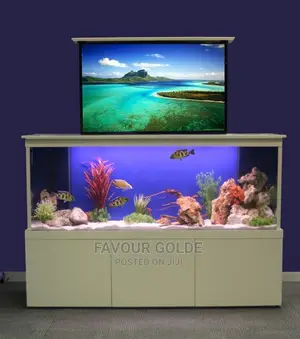Home Interior Aquarium Design