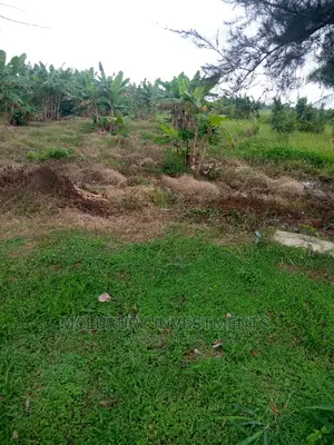Fenced Round With Gate,Half Plot for Sale.