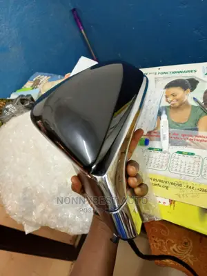 Lexus Side Mirror.