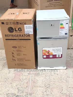 LG Double Door Refrigerator With 2years Waranty