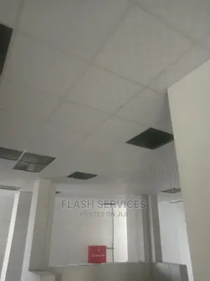 Suspended Ceiling / Ceiling Tiles / Grid Ceiling