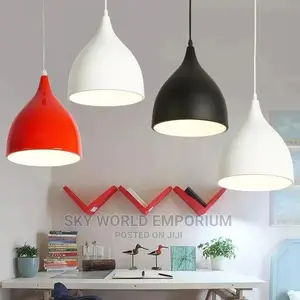 1 Pendant Drop Light