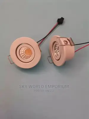 Mini Spot Light