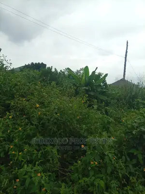 One Plot of Land at Ibeju Lekki Near Dagote Refinary