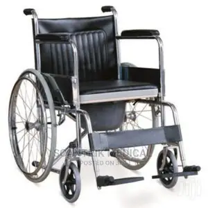 Wheelchair With Commode Seat Cushion and Pot