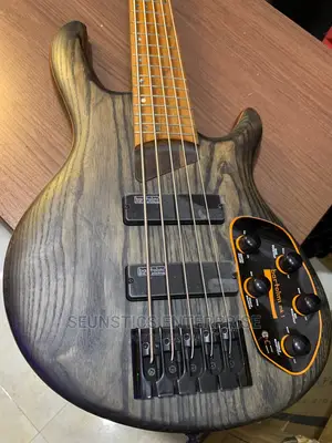 Quality Cort B5 Element Active Five String Bass Guitar