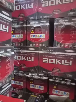 17 Plates Aokly Car Battery