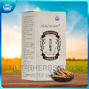 Healthway Cordyceps Sinensis Capsules for Asthma, Bronchitis
