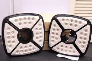 Tent Pole Light