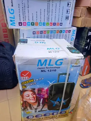 12-Inches Pa System Rechargeable Bluetooth