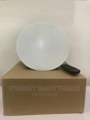 8 Inch Ceiling Speaker