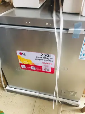 LG Chest Freezer 250L