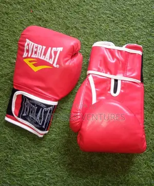 Everlast Boxing Gloves