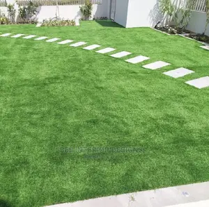 Quality Artificial Carpet Grass