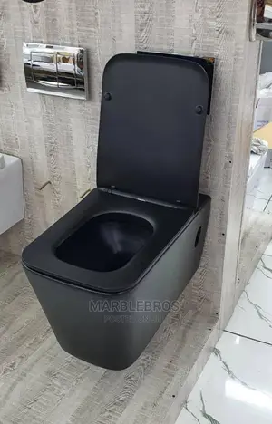 Quality Hanging Wc