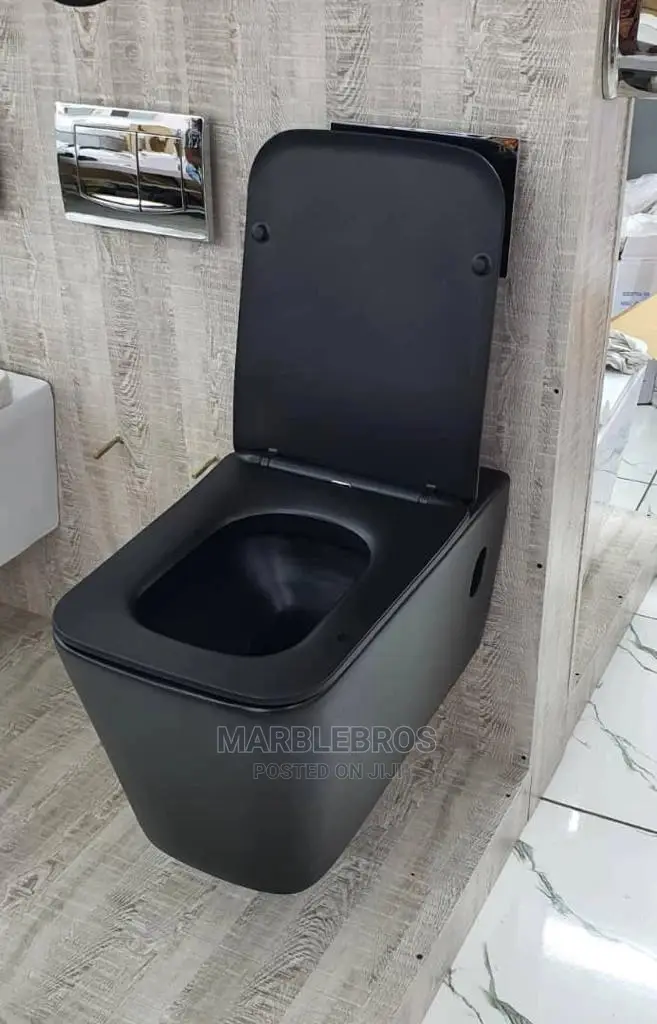 Quality Hanging Wc