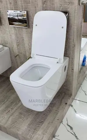 Quality Hanging Wc