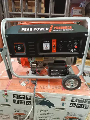 4.5kva Peak Power Professor Generator With Remote Control