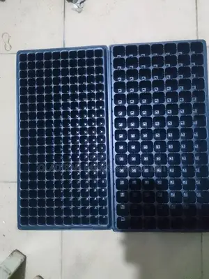 Nursery /Seedling Tray 200,128,105,104, 72,60, 50 Cells