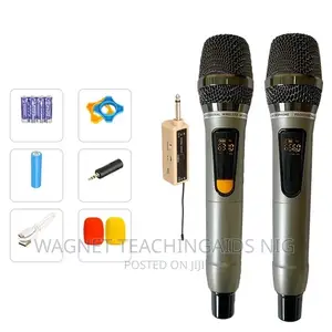 Professional Rechargeable Wireless Microphone
