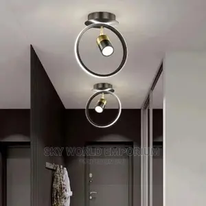 Ceiling Light