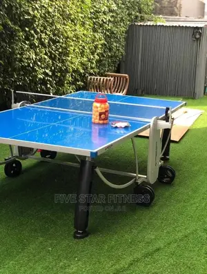 Heavy Duty Outdoor Table Tennis