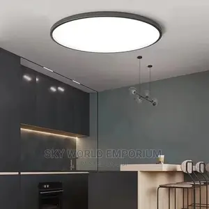 Ceiling Light