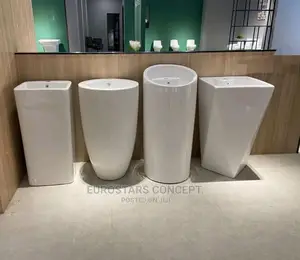 Standing Executive Washing Hand Basin