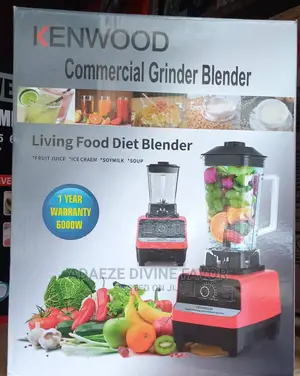 Kenwood Commercial Grinder Blender