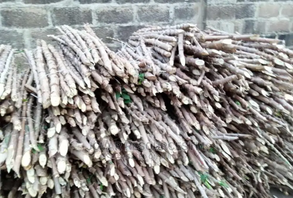 Best Improved Cassava Stem