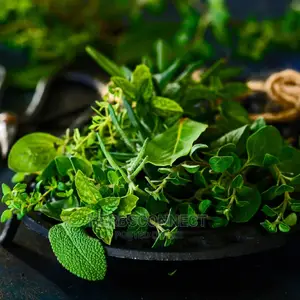 Organic Herbs