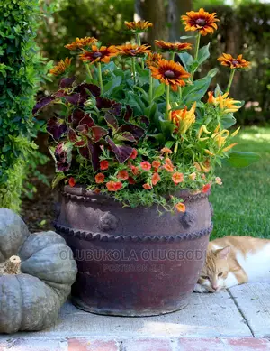 Vases With Flowers
