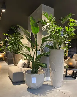 Wall Flowers Designs and Decor