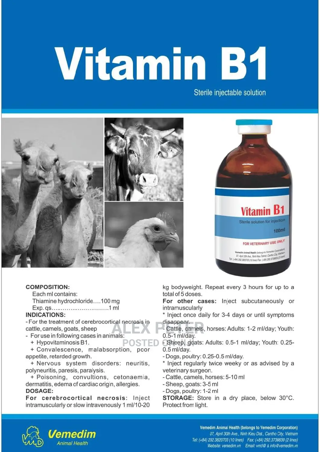Veterinary Doctor