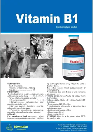Veterinary Doctor