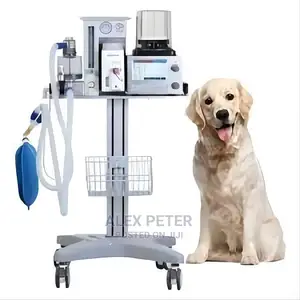 Vet Vet Vet