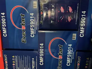 Everstart Battery 100 Amps