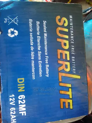 Everstart Battery
