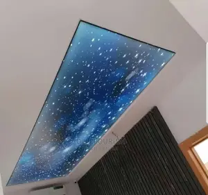 3D Stretch Ceiling Just for Your Home or That Ceiling Space