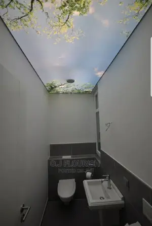 Topnotch 3d Stretch Ceiling Professional Design