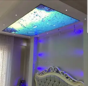 Nice 3D Stretch Ceiling