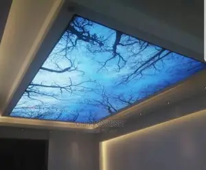 Stretch Ceiling Modern Design