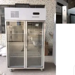 Stainless Double Doors Industrial Fridge