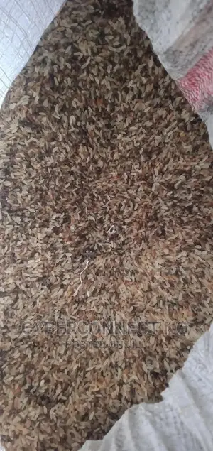 Dog Rice Available in Kg and Bags