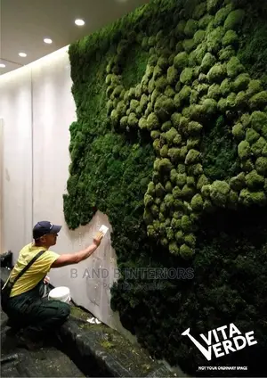 Wall Flowers Designs and Decor