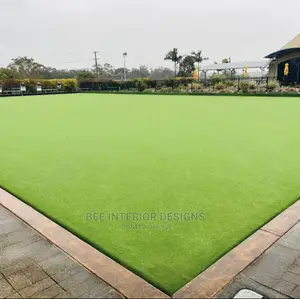 Artificial Grass Carpet