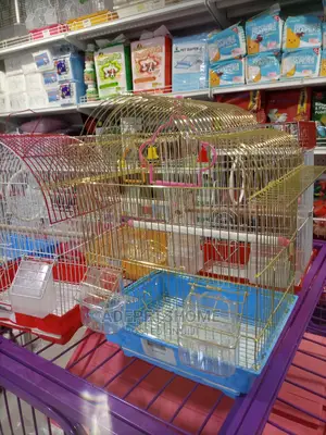 Golden Bird Cages Are Available